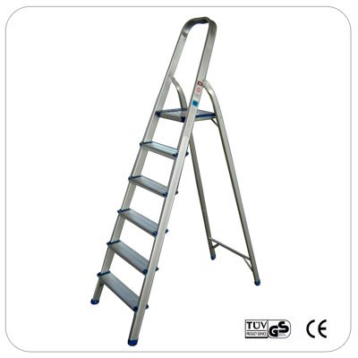 6 Step Ladder